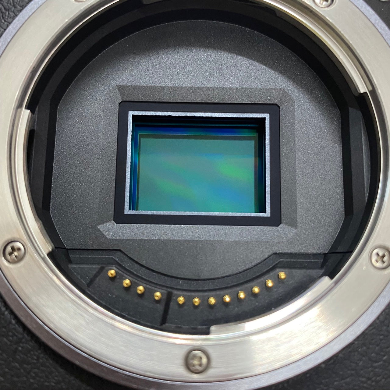 Canon EOS R50 箱付き