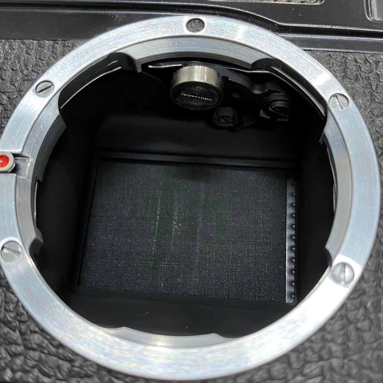 LEICA M4 Black Paint ブラックペイント 後塗り