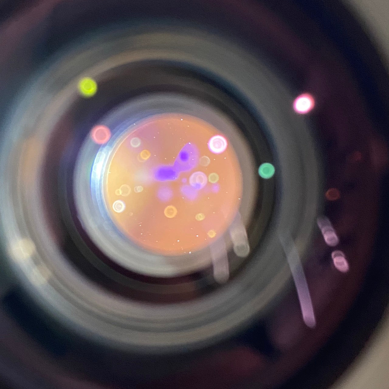Carl Zeiss Biogon T* 28mm F2.8 ZM Black 箱付き