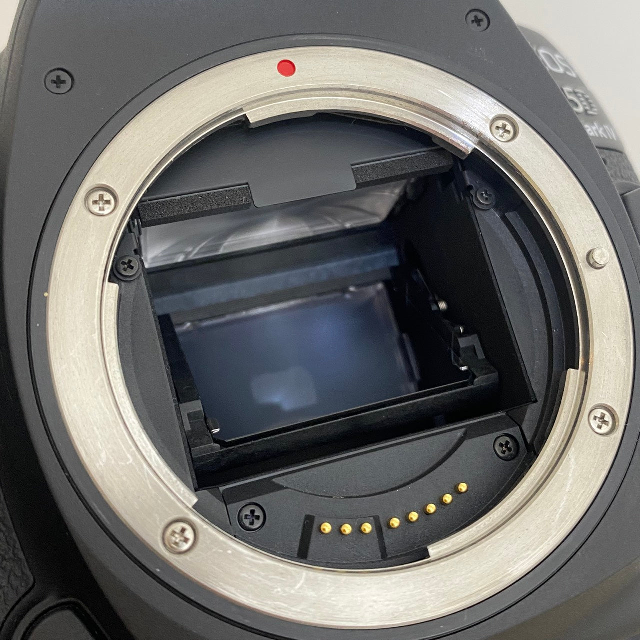Canon EOS 5D Mark Ⅳ