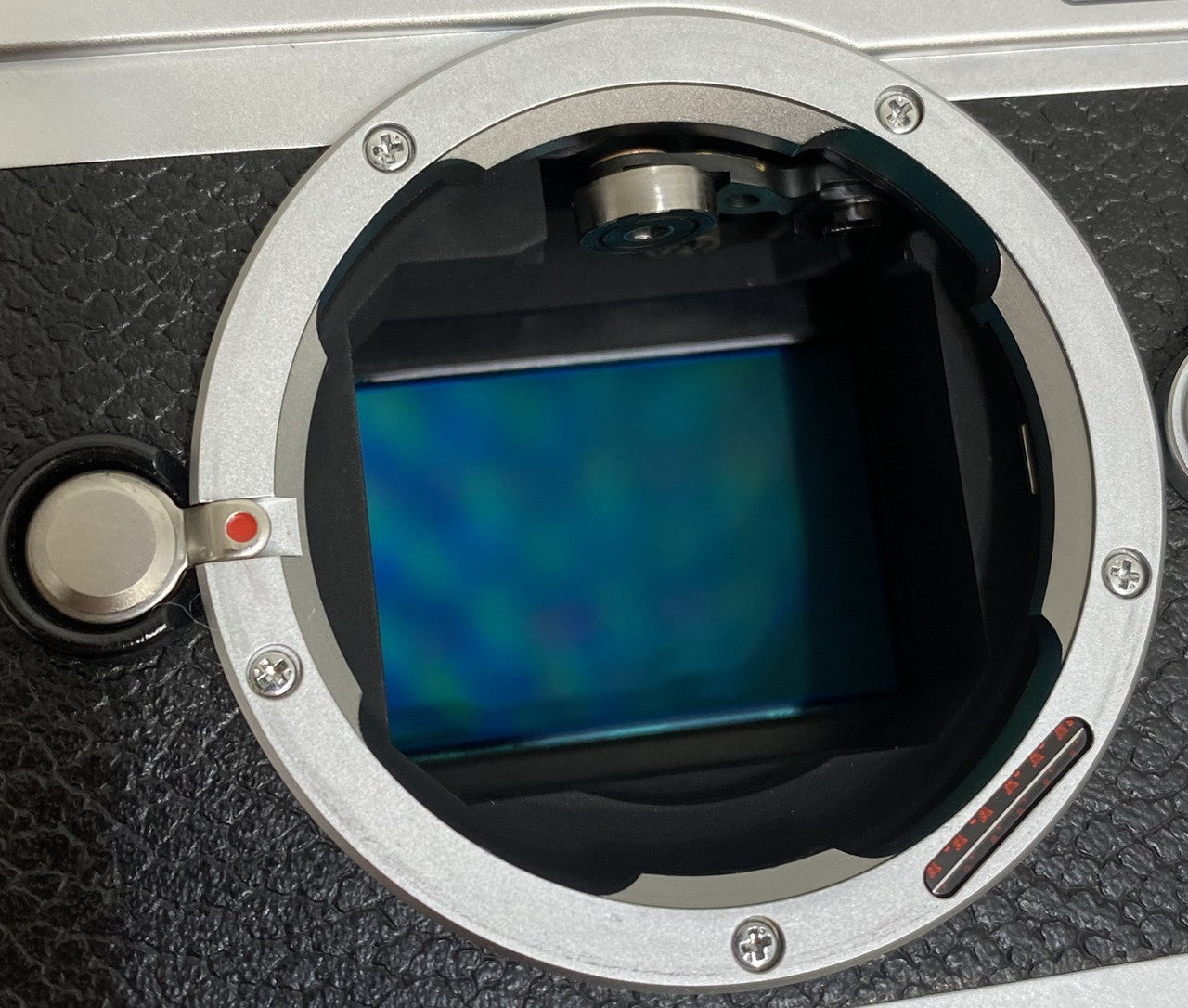 LEICA M9-P Silver Chrome センサー対策済み 箱付き