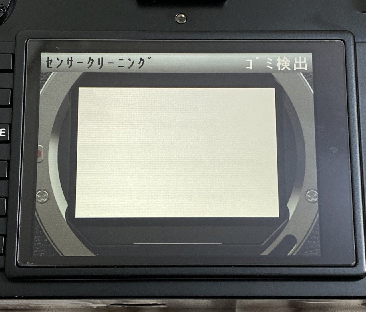 LEICA M-P Typ 240 Black Paint 箱付き