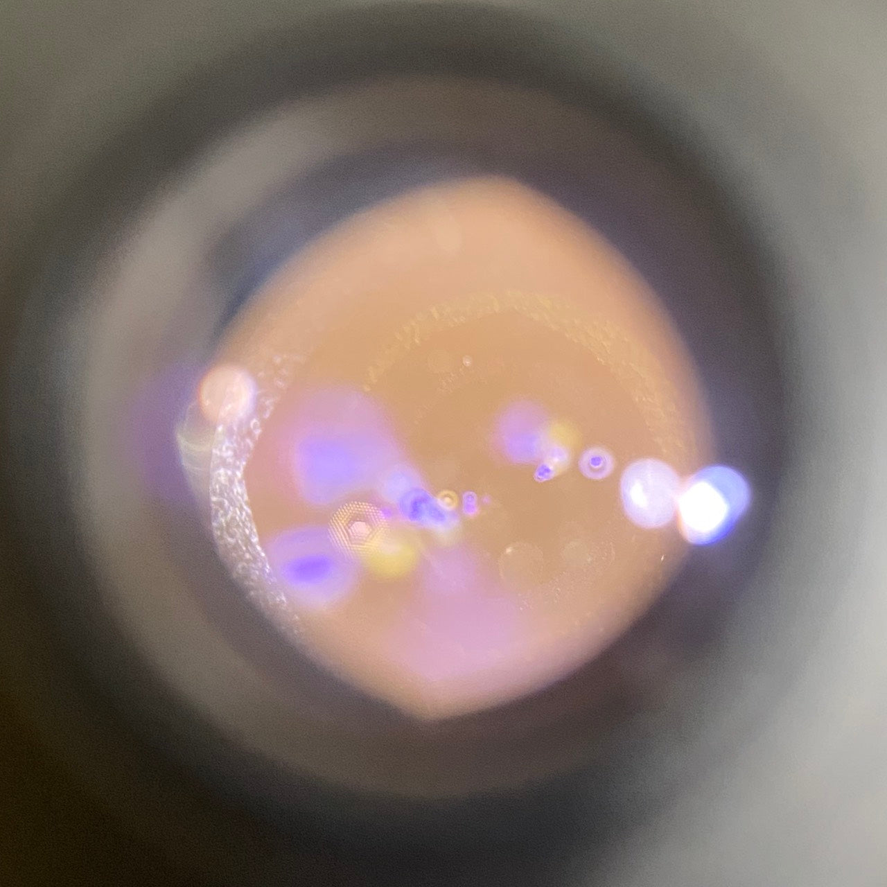 Super Angulon R21mm f4.0 3-CAM改造 1969年製 メンテナンス済み