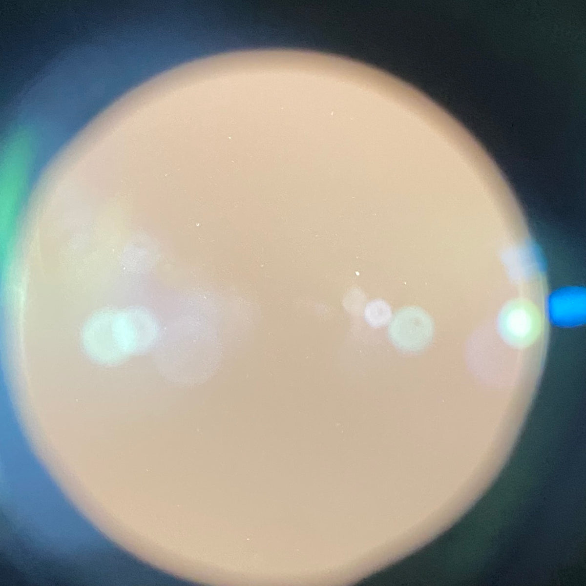 SIGMA Contemporary 28-70mm F2.8 DG DN Eマウント用 メーカー保証付き
