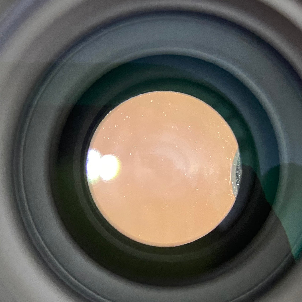 SIGMA Contemporary 90mm F2.8 DG Lマウント