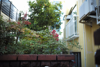 LEICA Summicron M35mm f2.0 1st 8枚玉 CANADA製