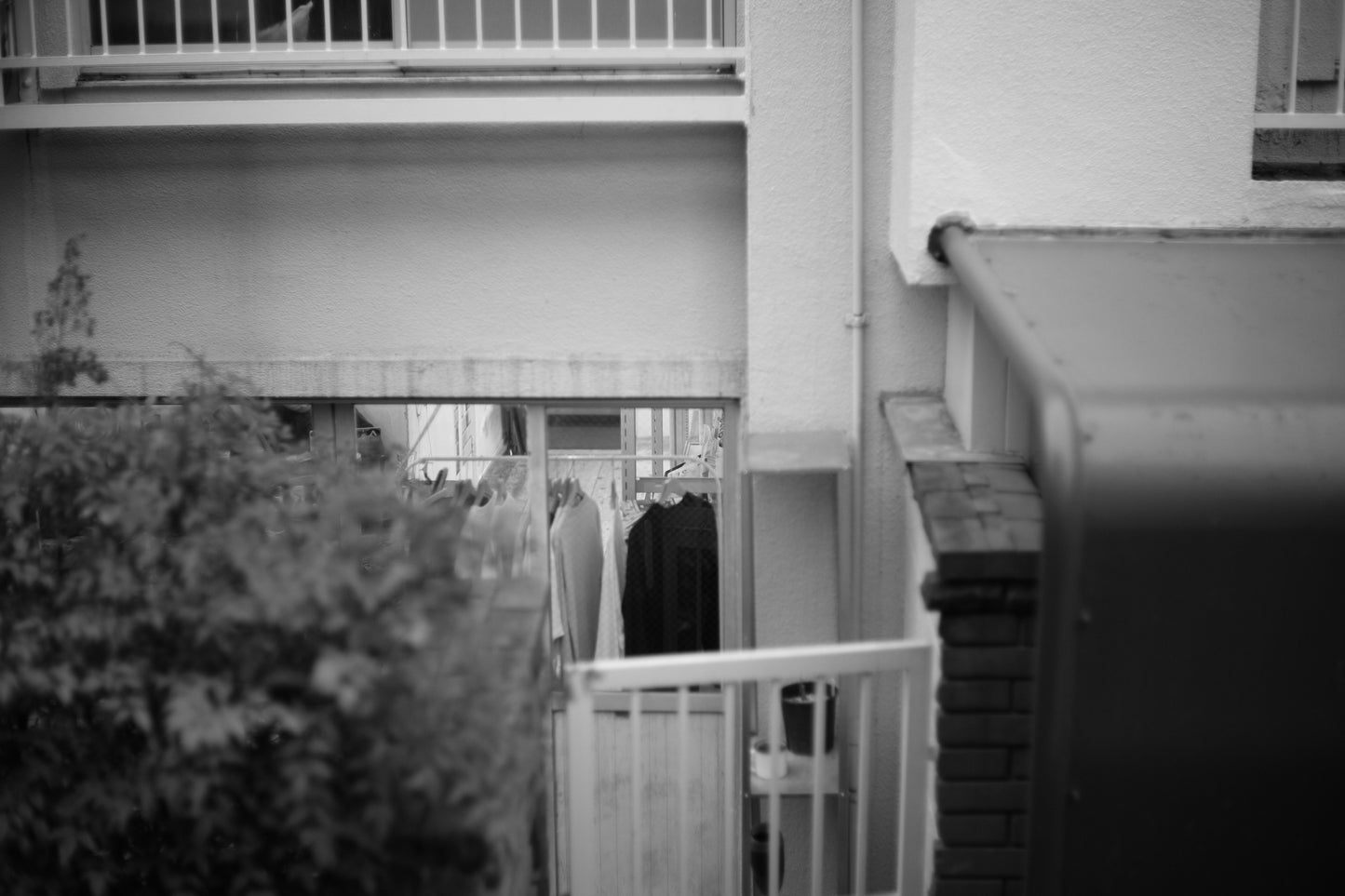 LEICA Summilux M50mm f1.4 2nd Silver 1962年製 メンテナンス済み