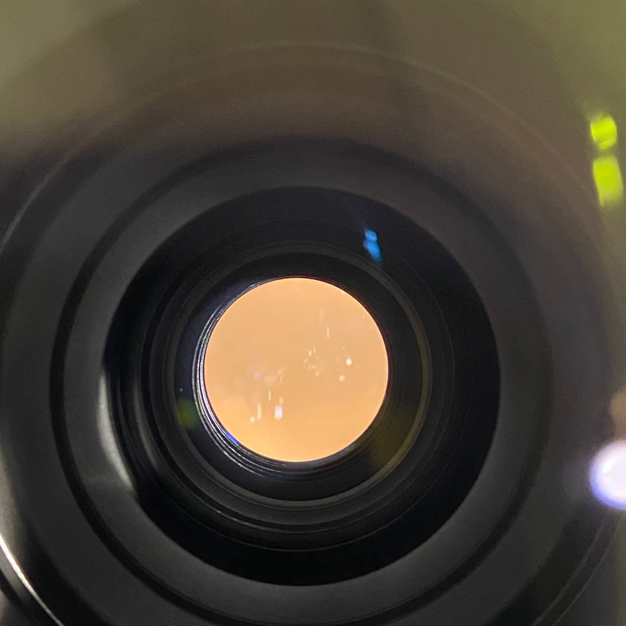 NIKKOR Z 24-120mm f/4 S – まるかめら