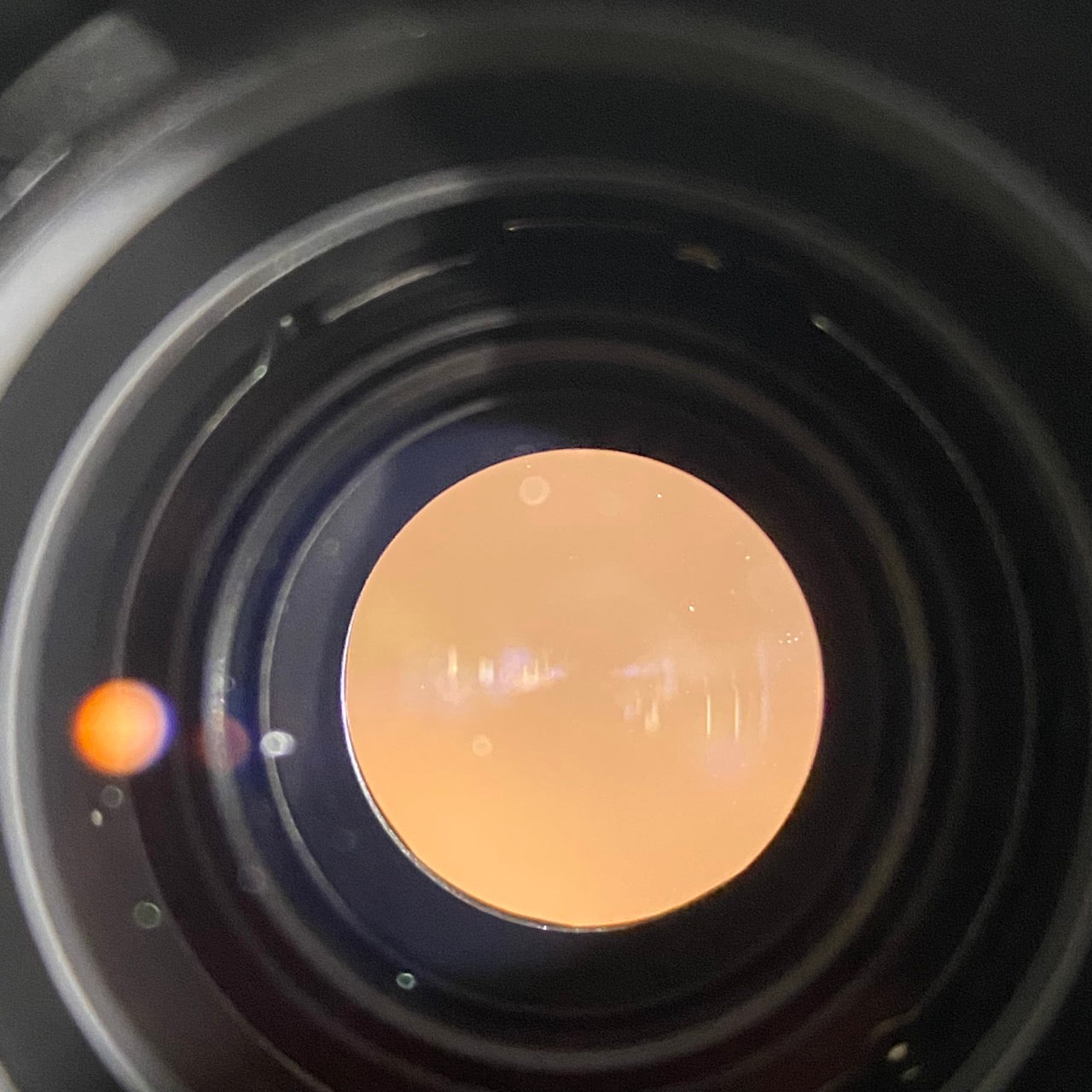 NIKKOR Z 24-120mm  f/4 S 　　