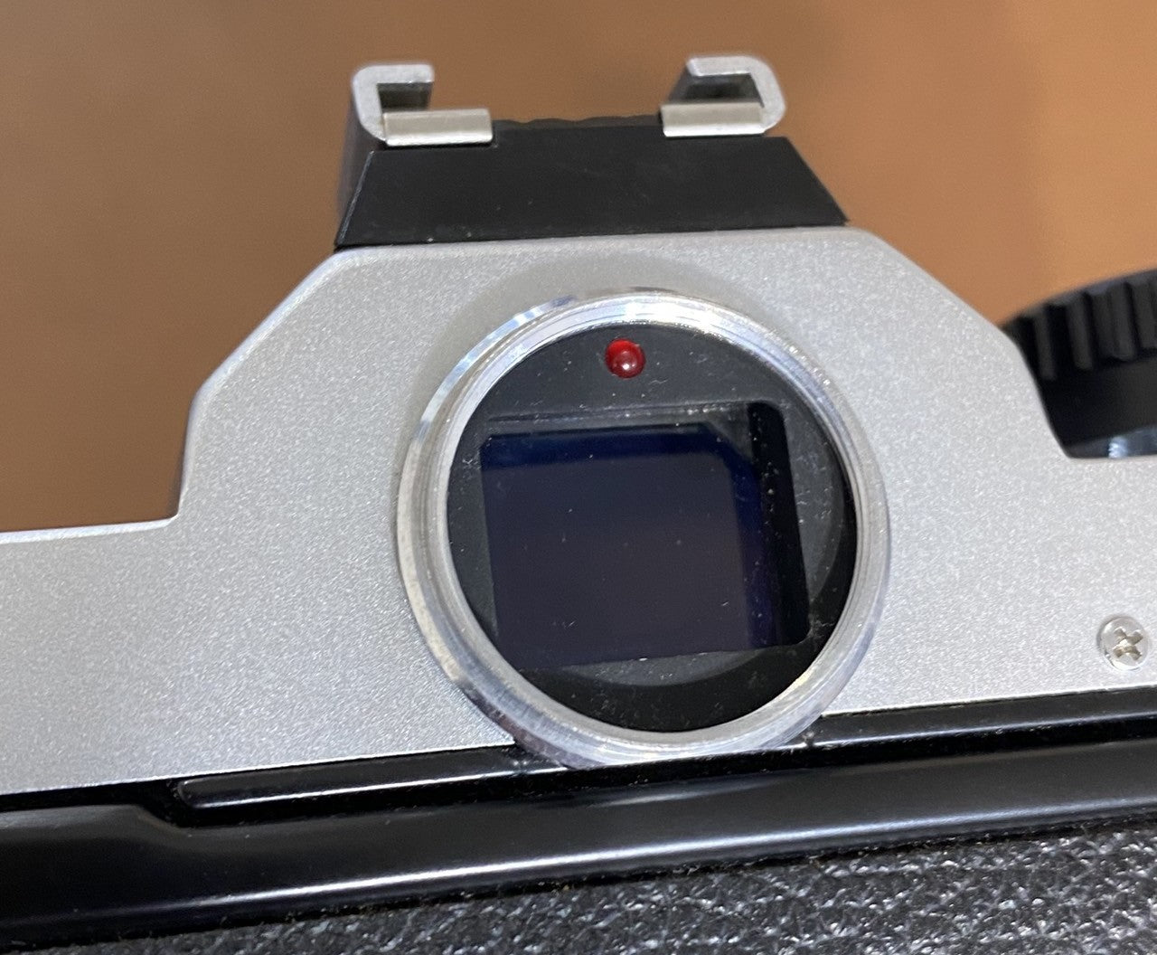 Nikon NEW FM2 Silver – まるかめら