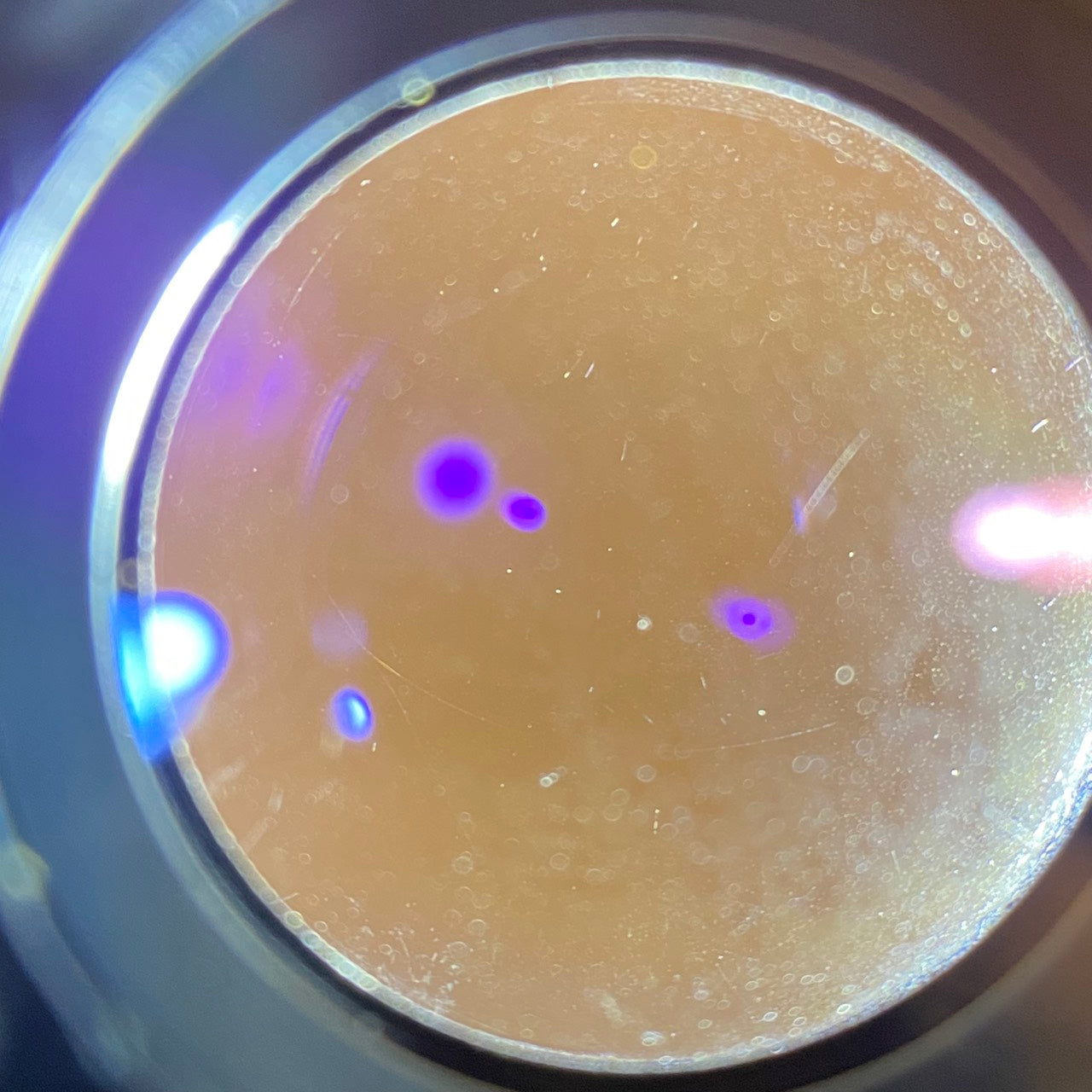 LEICA Summicron M50mm f2.0 2nd Black Chrome 1973年製 メンテナンス済み