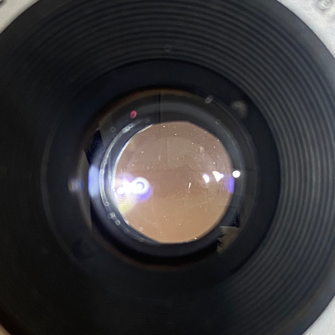 LEICA Summaron M35mm f3.5 1954年製 メンテナンス済み – まるかめら