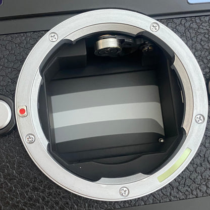 LEICA M-P Typ 240 Black Paint 箱付き