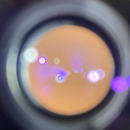 Carl Zeiss  C Biogon T* 35mm F2.8 ZM Silver