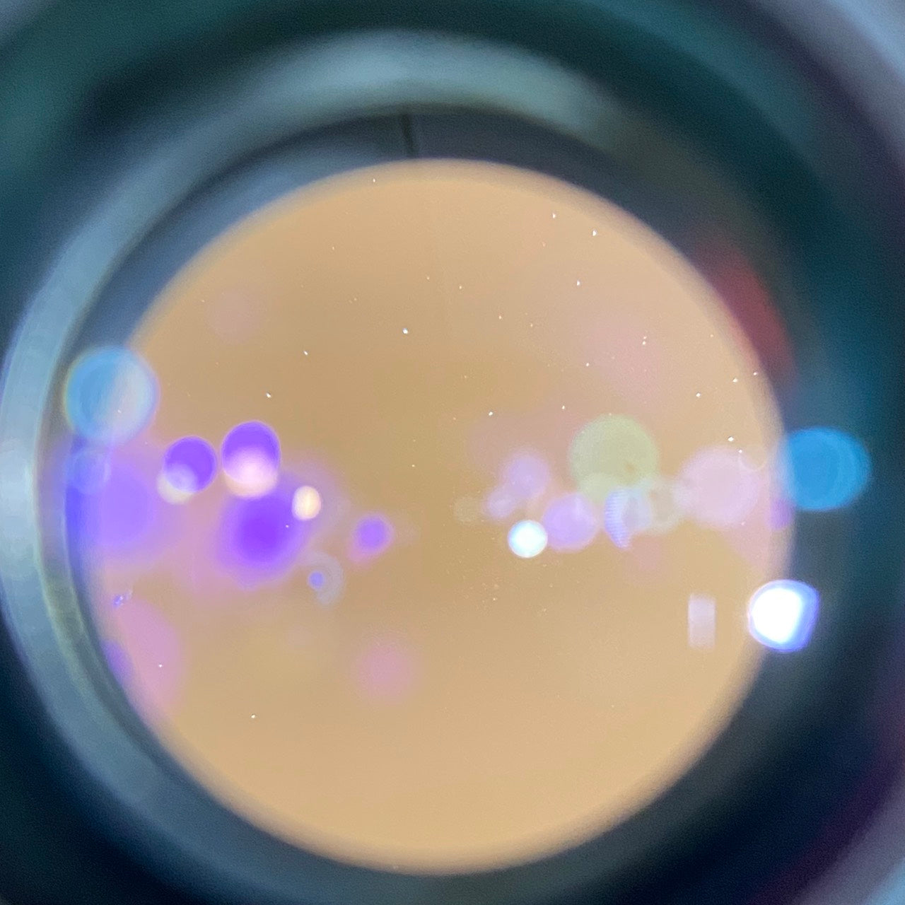 Carl Zeiss  Biogon T* 35mm F2 ZM Silver シルバー
