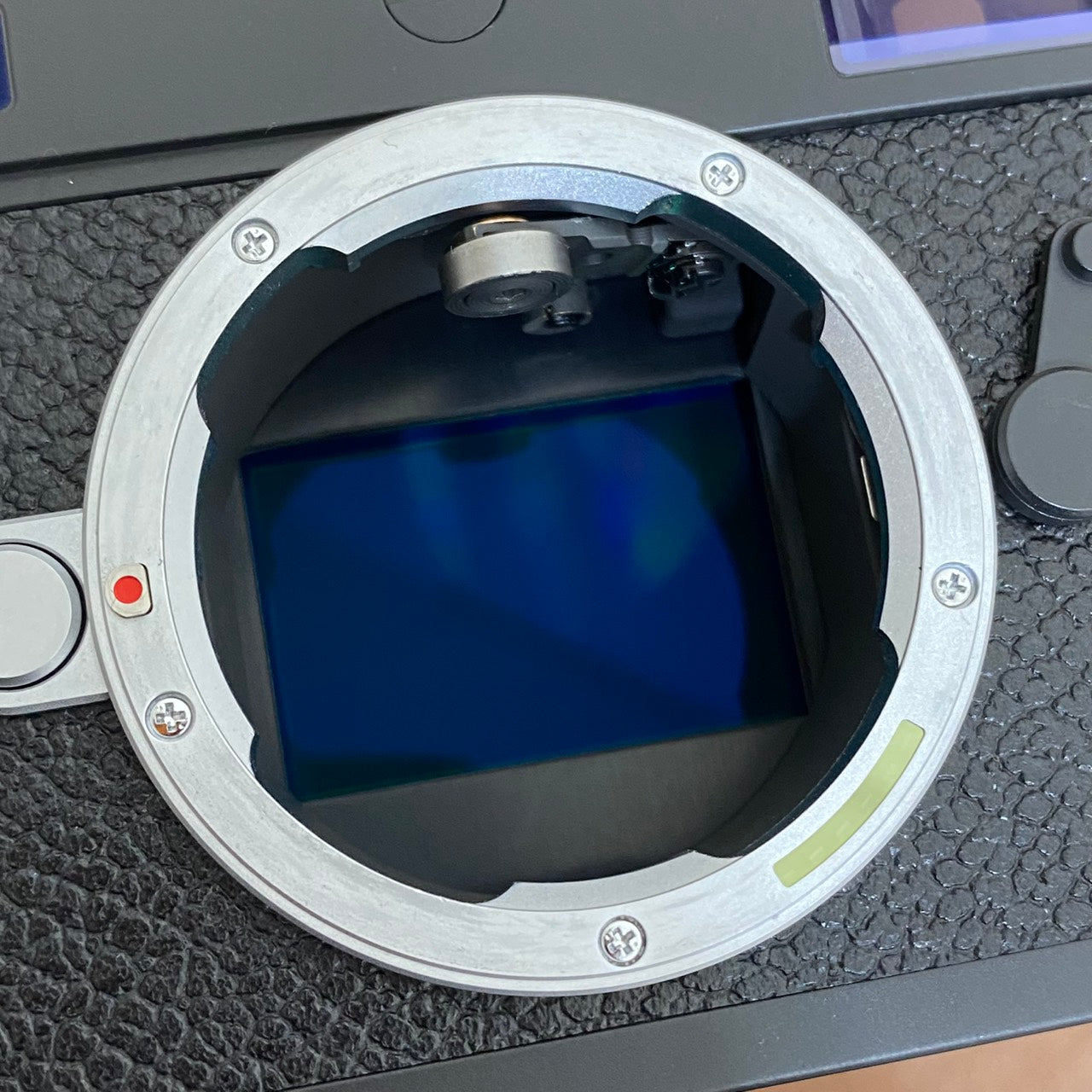 LEICA M11-P Black Paint Version JP 付属品完備