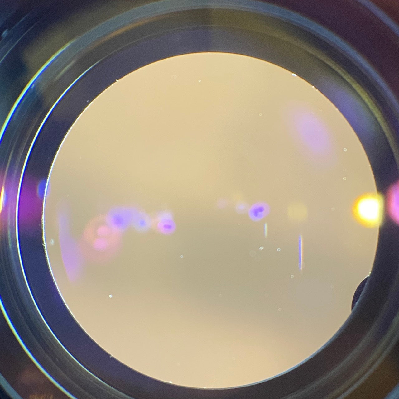 LEICA Summilux M75mm f1.4 前期 1981年製 フード付き メンテナンス済み