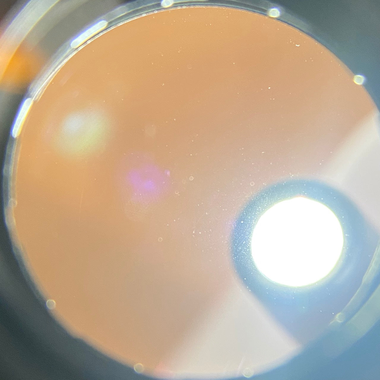 APO-Summicron M90mm f2.0 ASPH.Black Paint 付属品完備