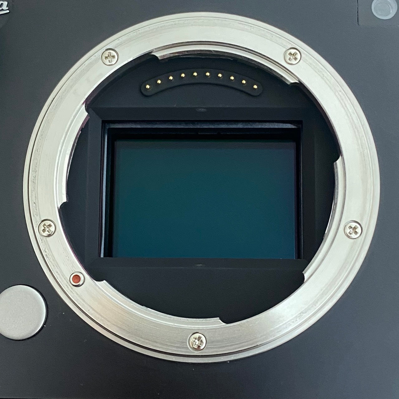 LEICA SL Typ601 付属品完備