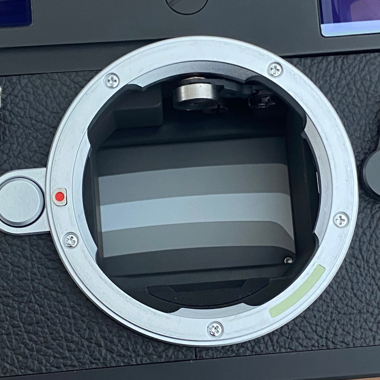 LEICA M10-D