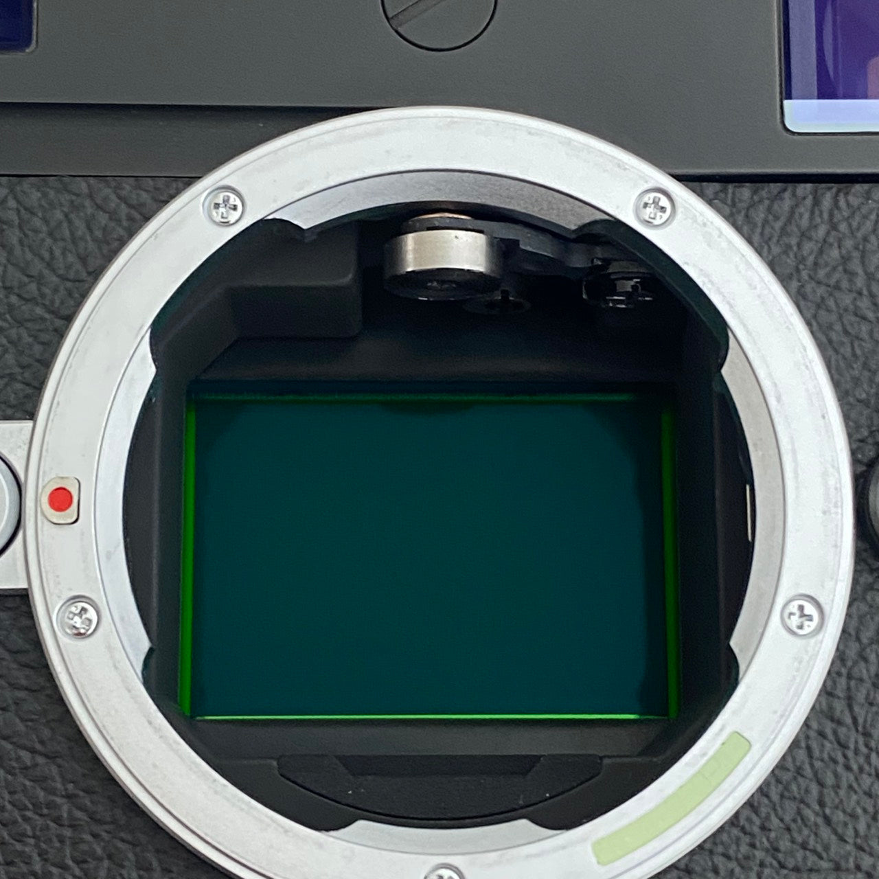 LEICA M10-D