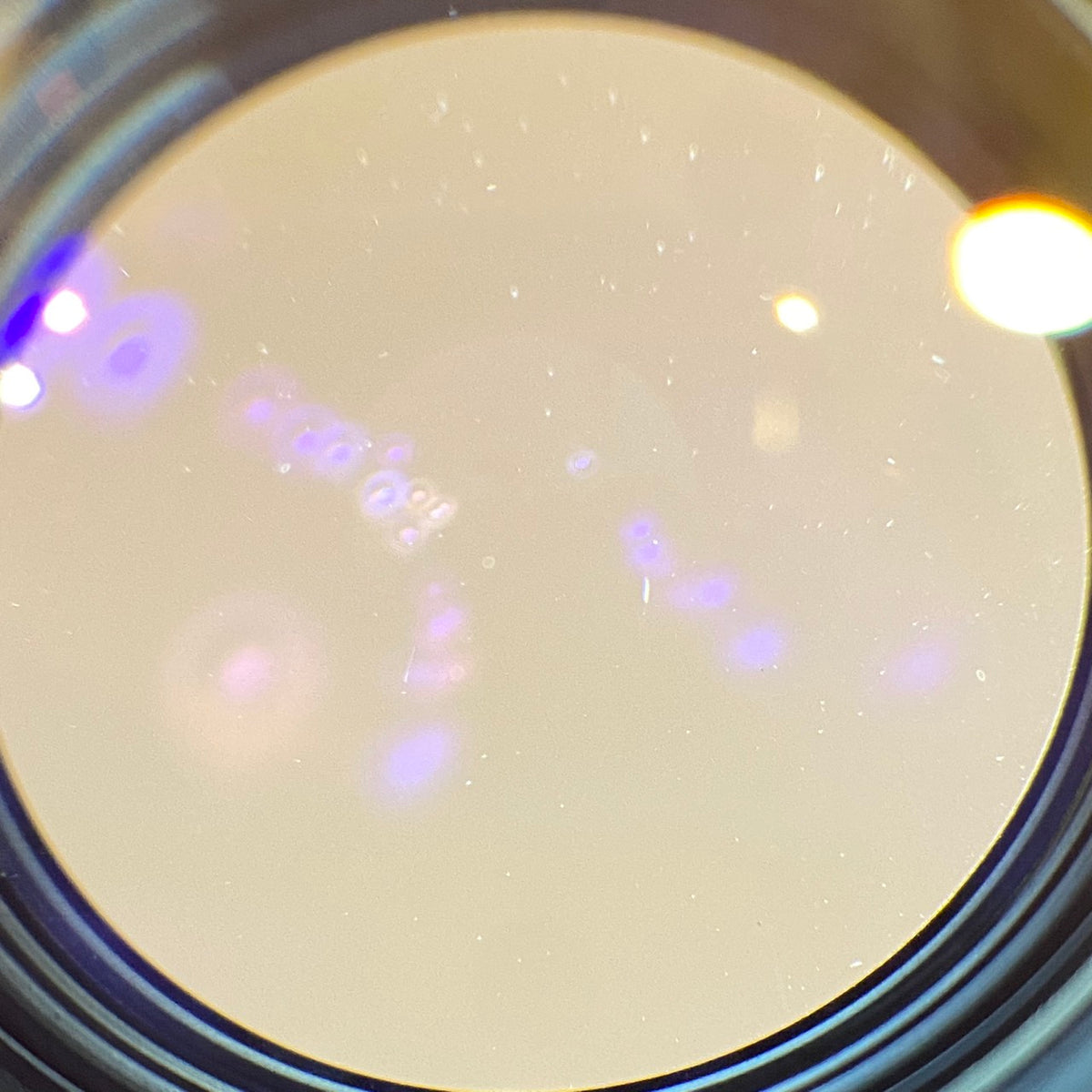 Noctilux M50mm f1.0 E58 1977年製 12519フード付き  ★現金特価1,950,000円