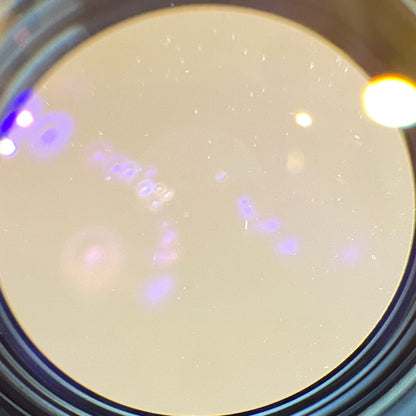 Noctilux M50mm f1.0 E58 1977年製 12519フード付き  ★現金特価1,950,000円