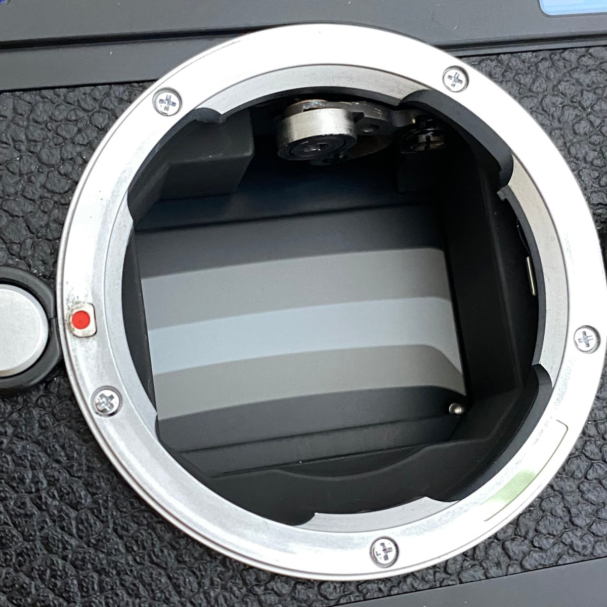 LEICA M-P Typ240 Black Paint 2019年製 付属品完備