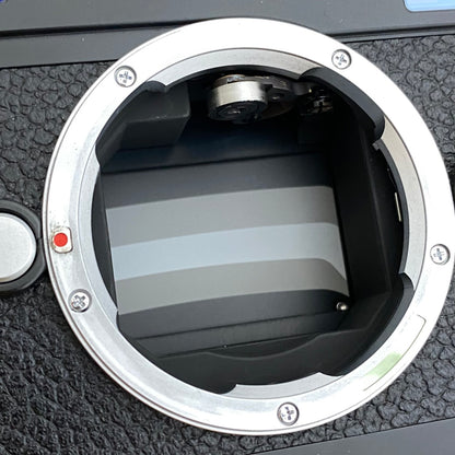 LEICA M-P Typ240 Black Paint 2019年製 付属品完備