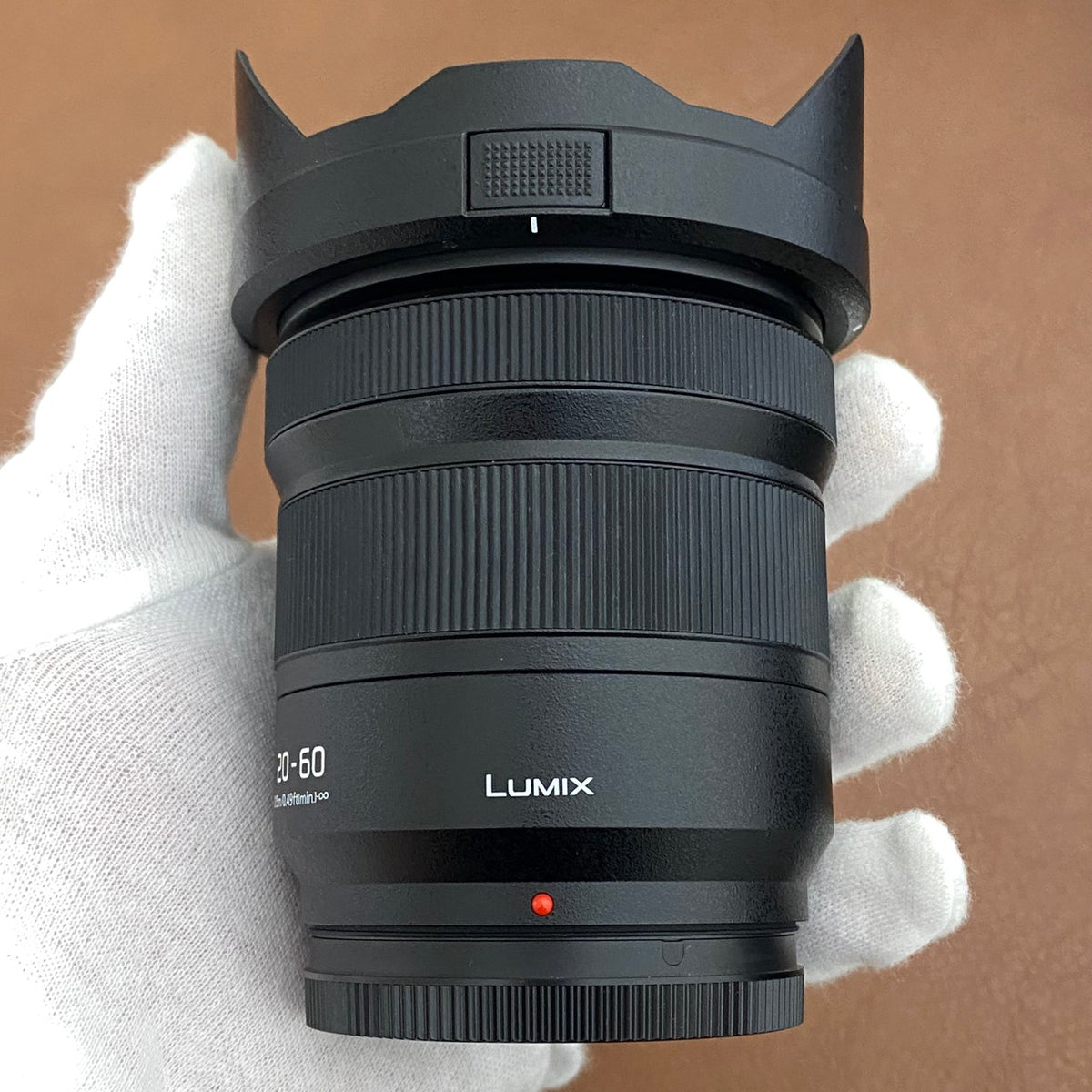 Panasonic LUMIX S 20-60mm F3.5-5.6 S-R2060 Lマウント
