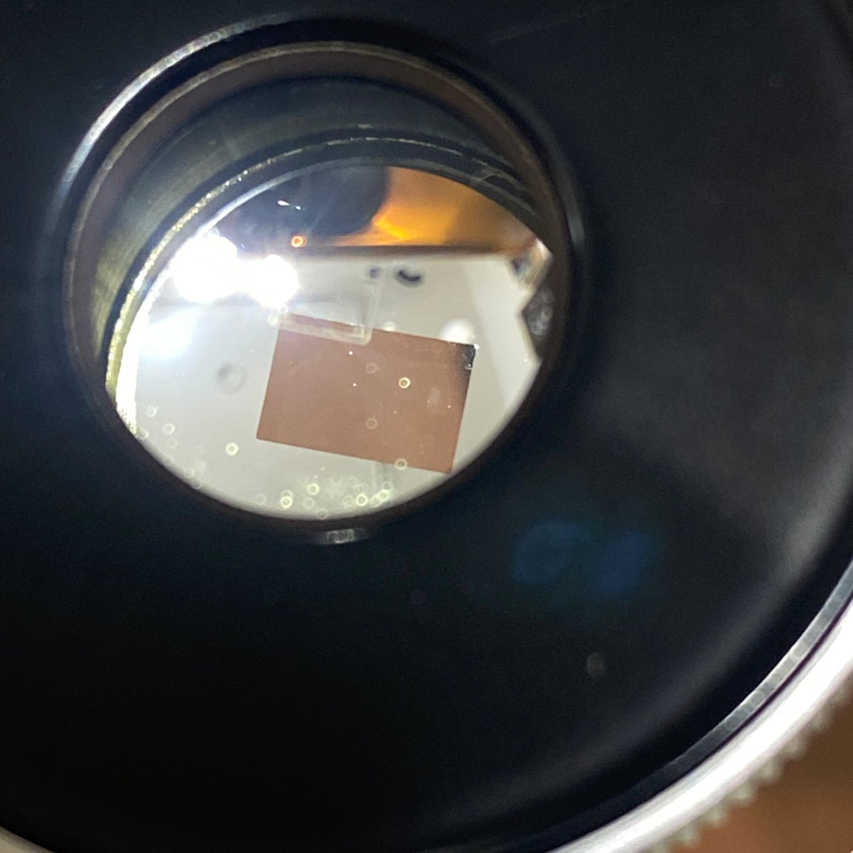 LEICA 135mm View Finder SHOOC 12030 後期 細字